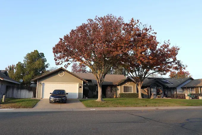 Suburban houses with a large tree and parked car along a quiet street