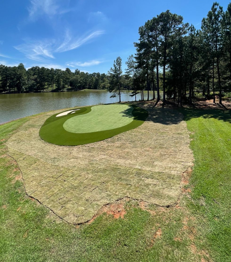 fresh sod 