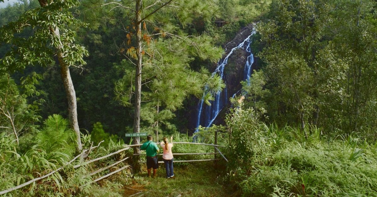 A couple of people are standing in front of a waterfall in the woods.