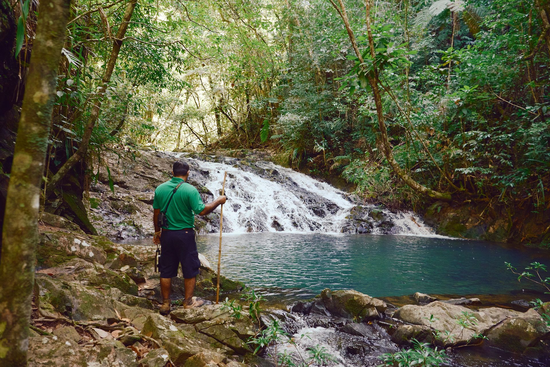 a man is standing next to a waterfall in the woods .