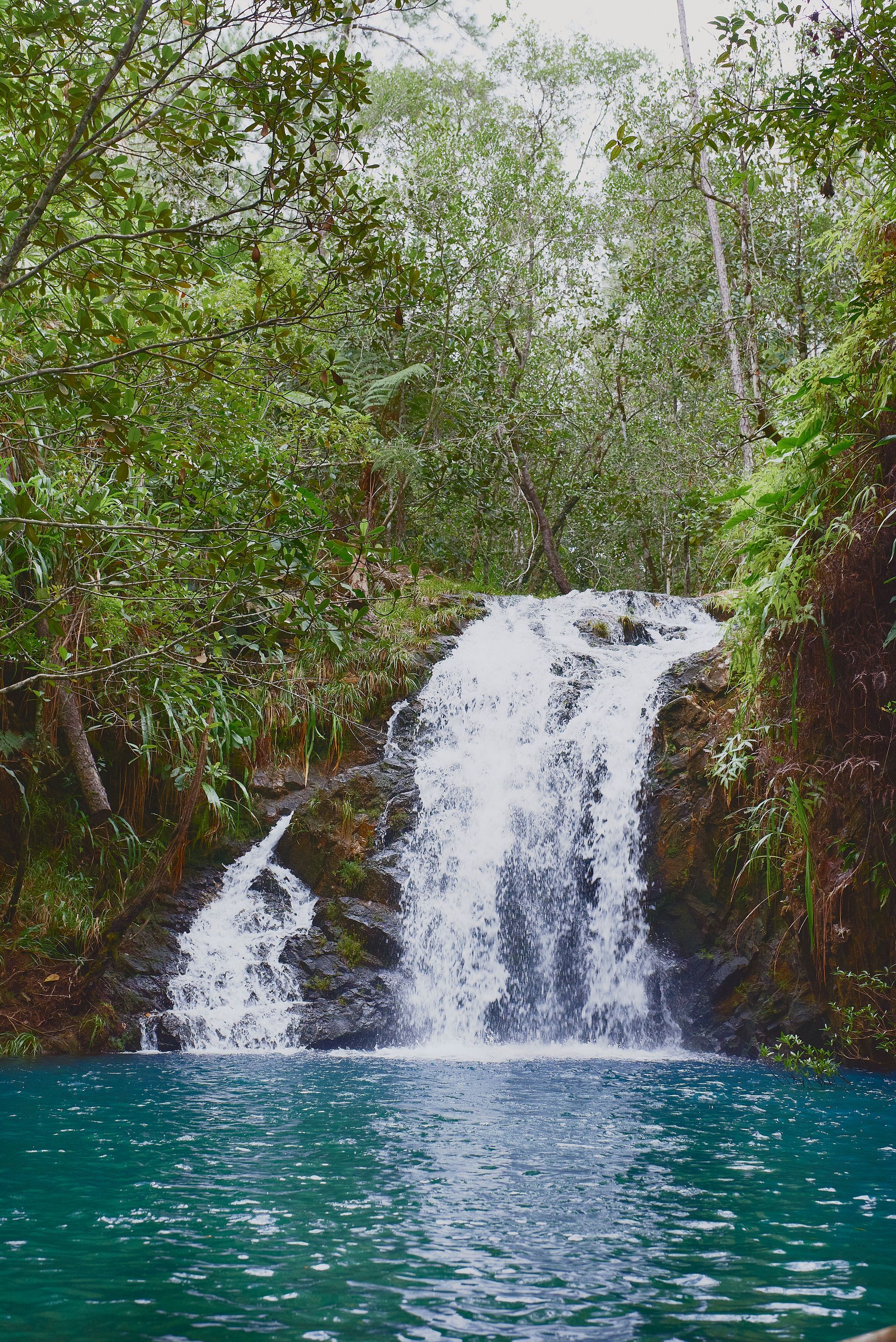 a waterfall is surrounded by trees and a body of water .
