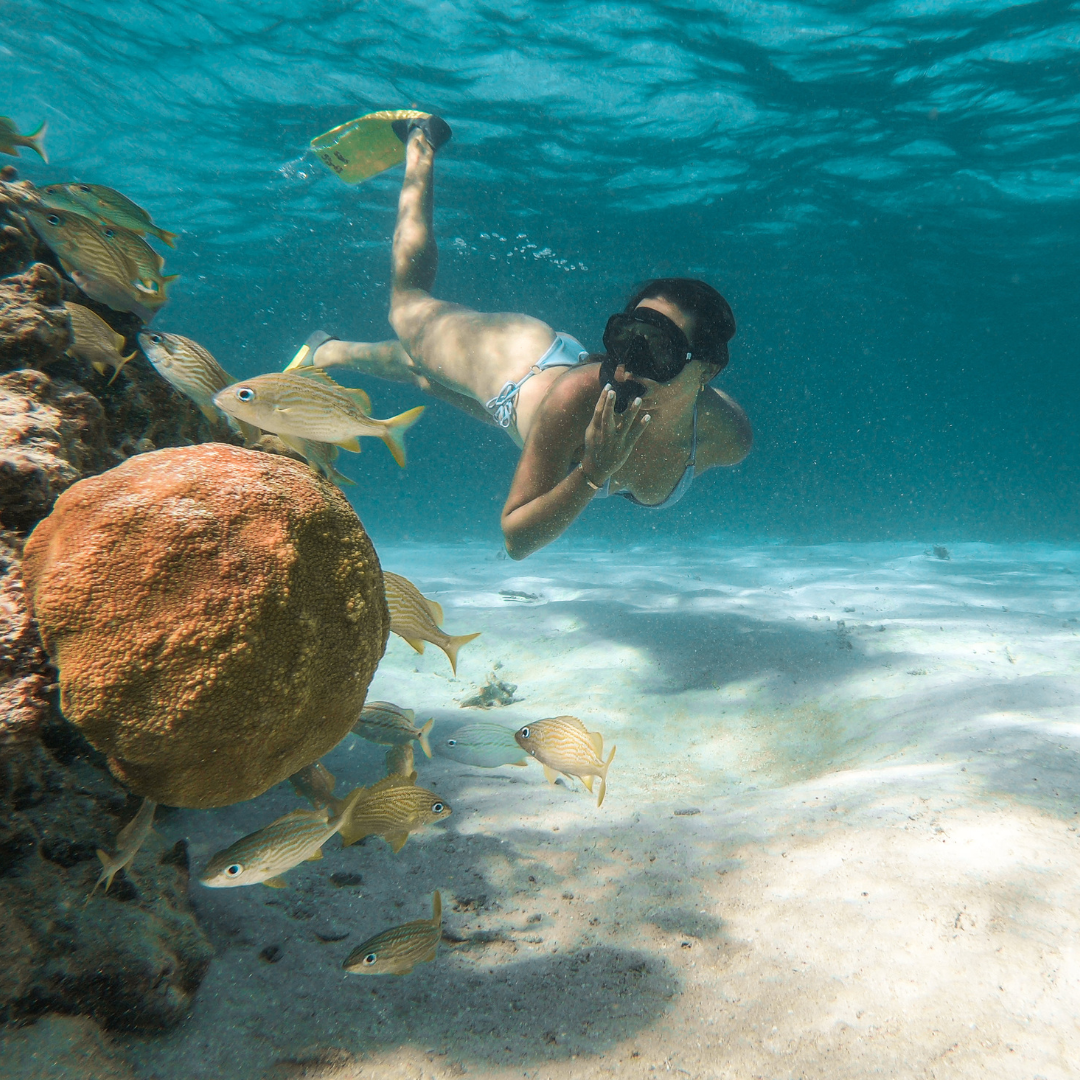 a woman is swimming in the ocean surrounded by fish