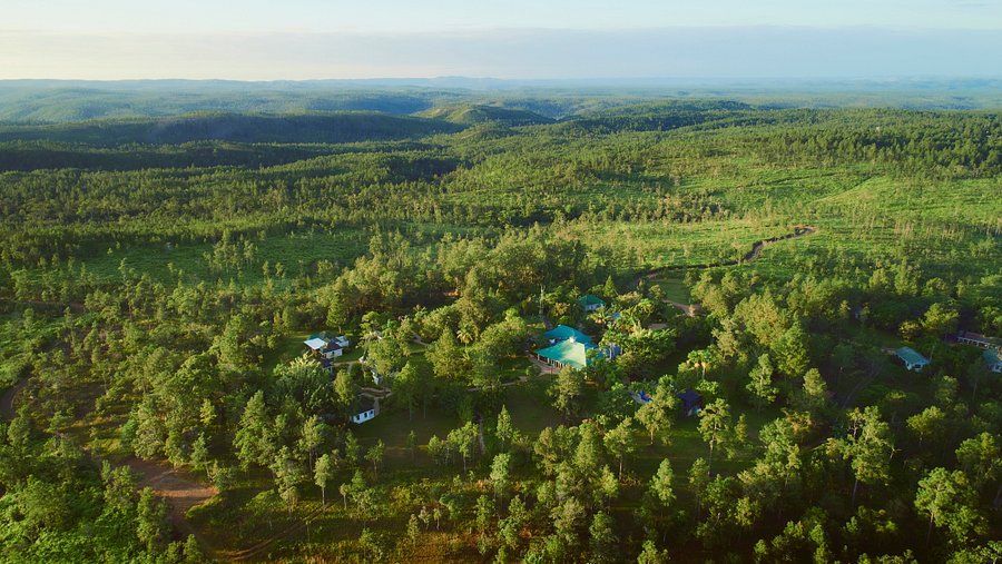 jungle lodge 