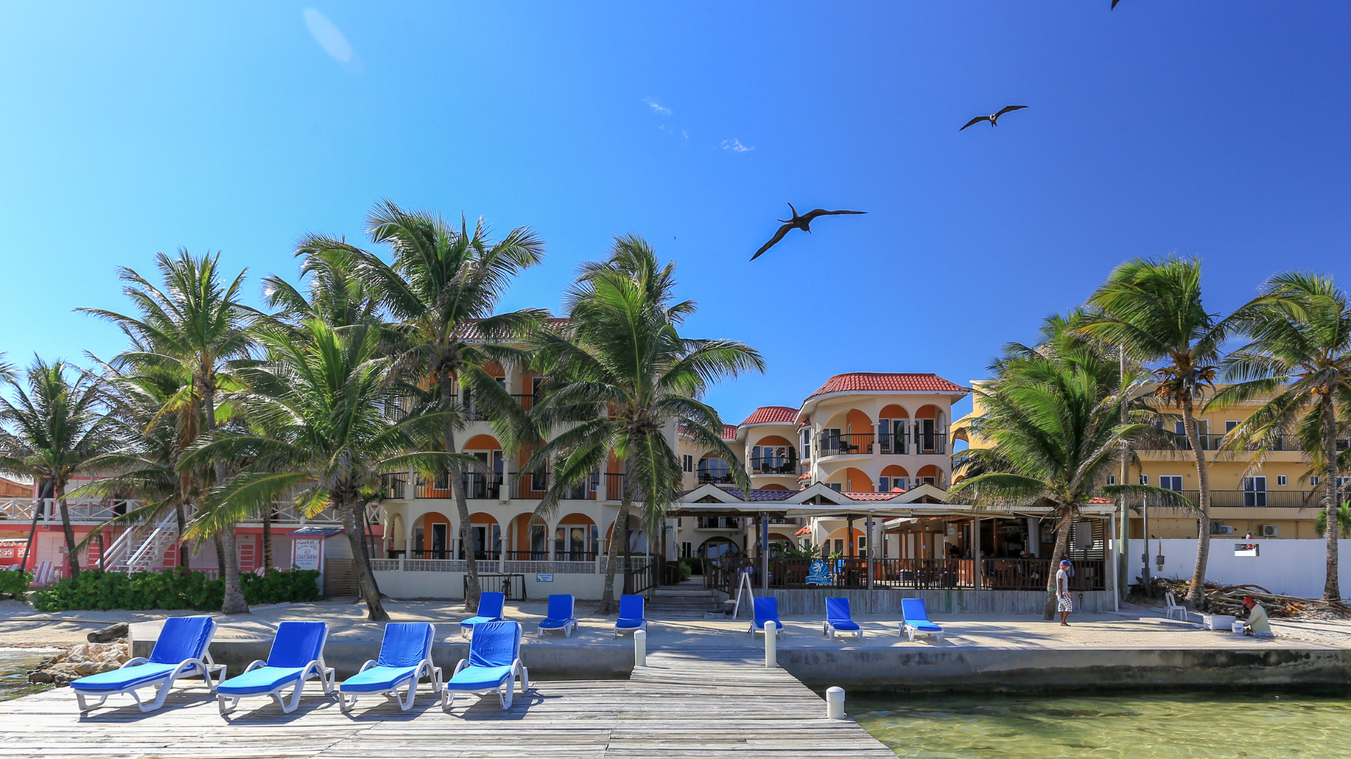 a large building with palm trees in front of it this is the Sunbreeze Suites