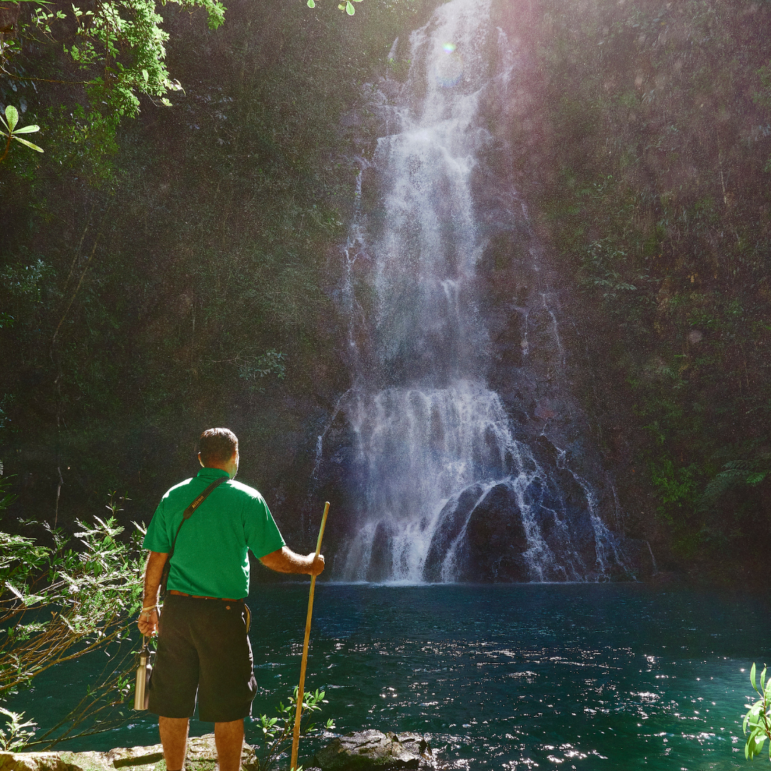 a man in a green shirt stands in front of a waterfall
