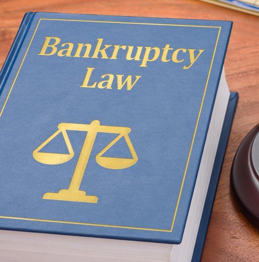 Bankruptcy Book — Greenup, KY — McGinnis Leslie Attorneys At Law Bankruptcy Book — Greenup, KY — McGinnis Leslie Attorneys At Law