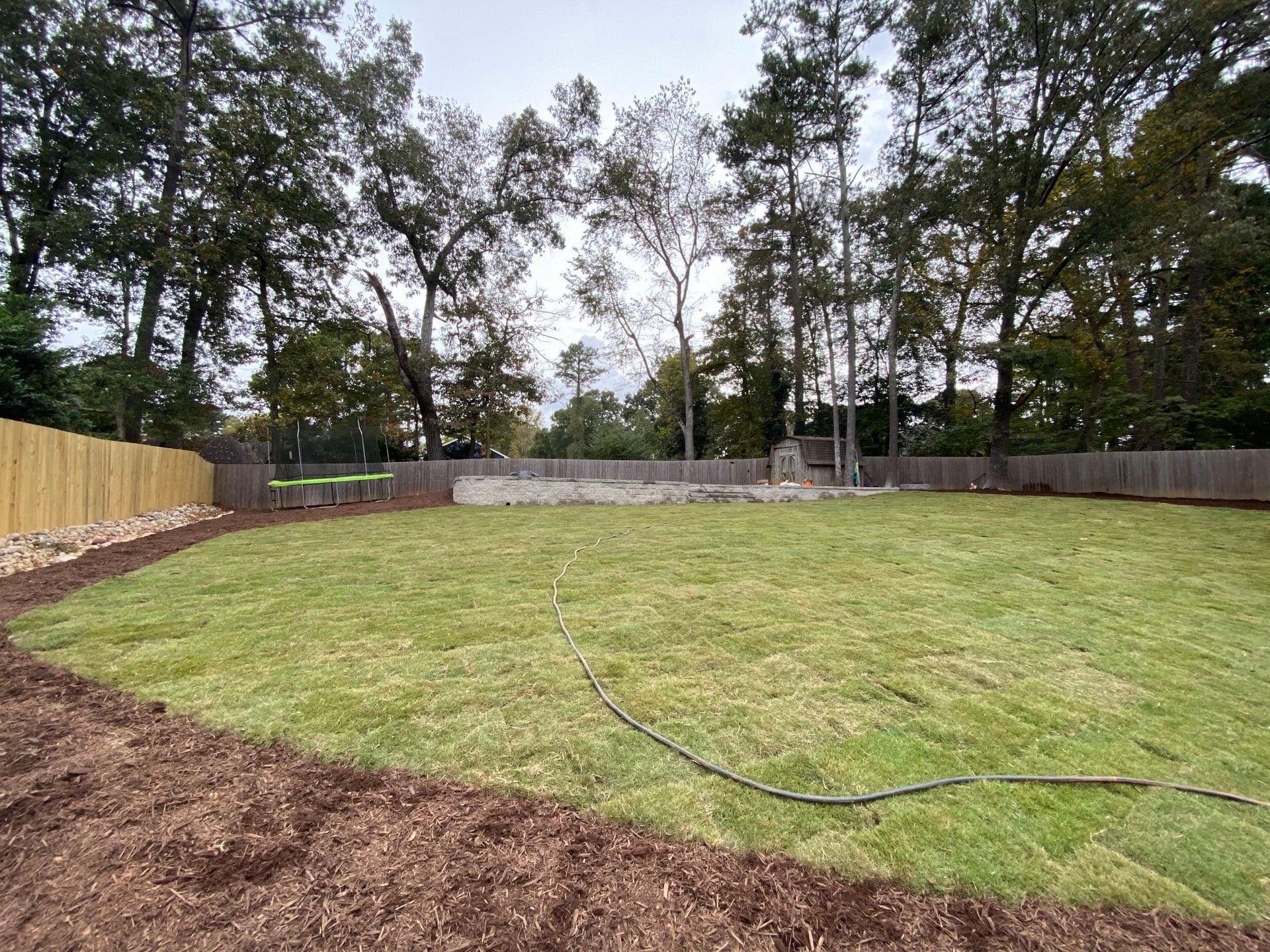 Empty grassy backyard with a hose, surrounded by trees and a wooden fence.