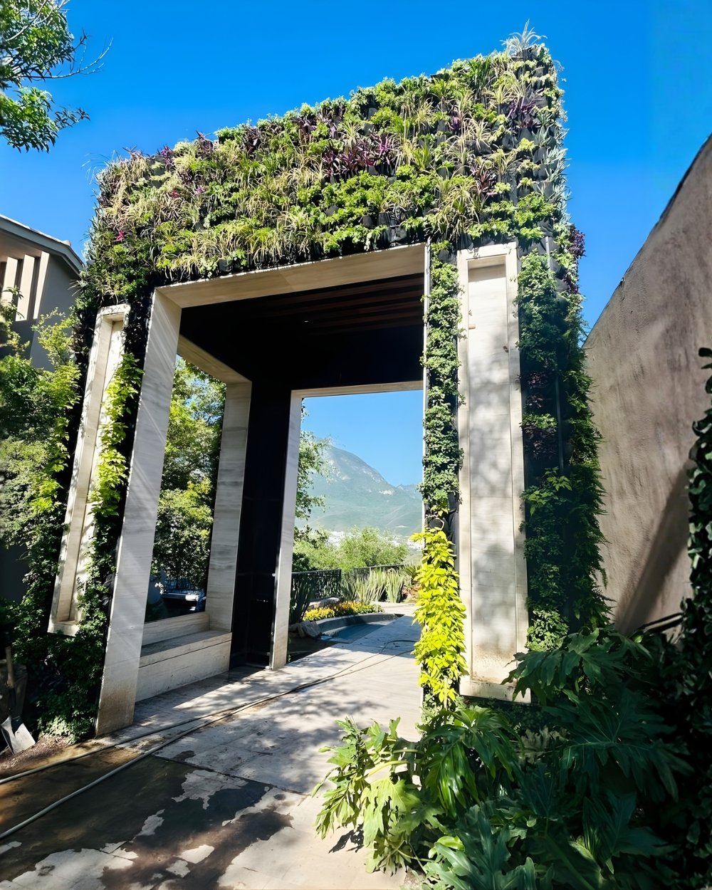 Moderna puerta de jardín enmarcada por exuberantes enredaderas verdes y una vista a la montaña al fondo bajo un cielo azul brillante.