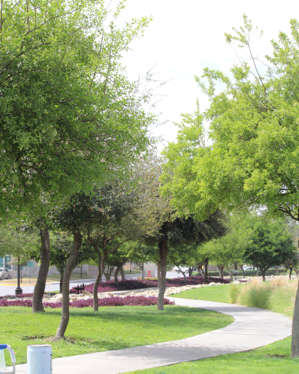 Sendero curvo en el parque junto a árboles verdes y macizos de flores en un día soleado.