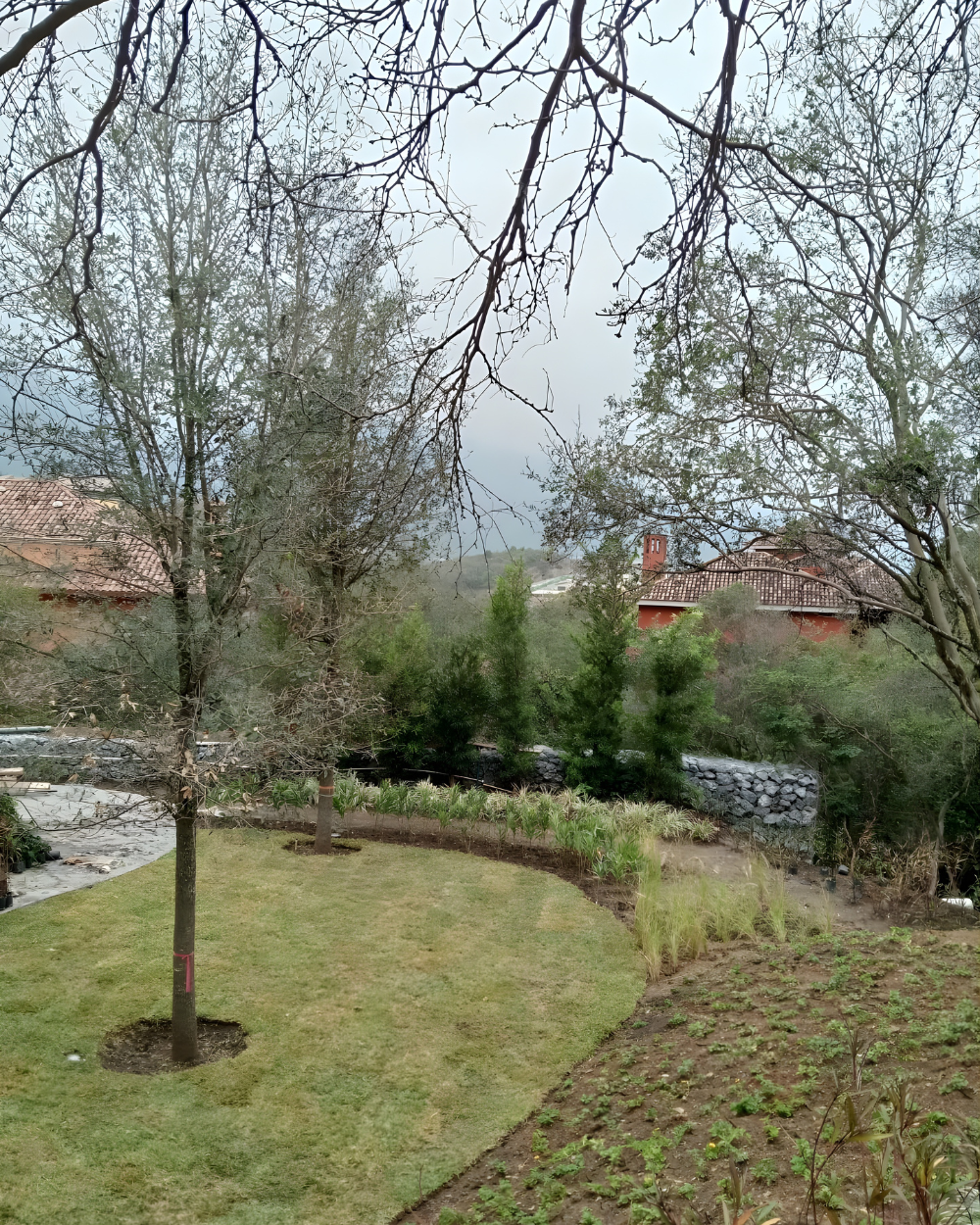 Jardín con árboles sin hojas, césped, arbustos y tejados a lo lejos bajo un cielo nublado.