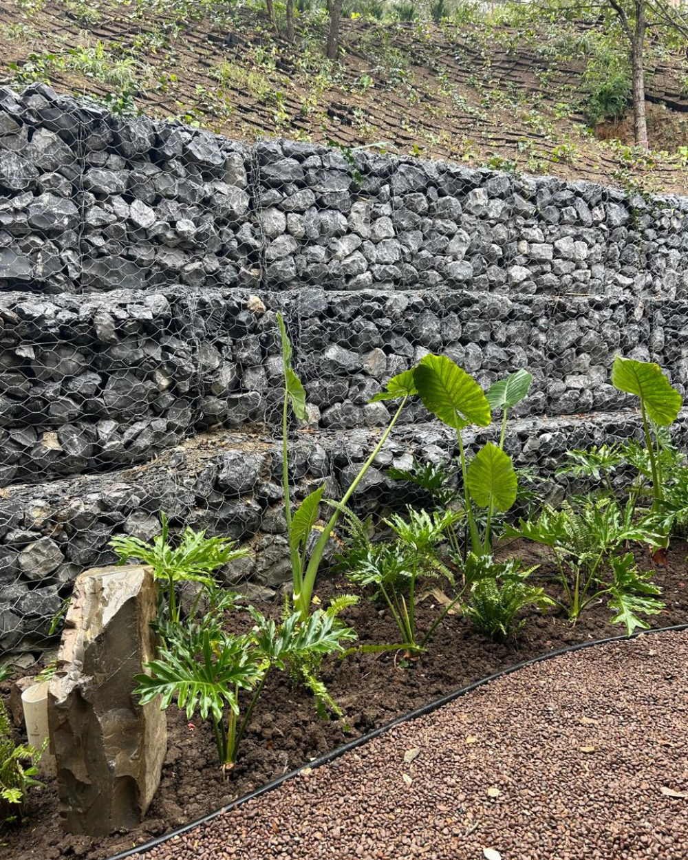 Muro de contención de piedra con plantas verdes y una pequeña roca en un parterre.