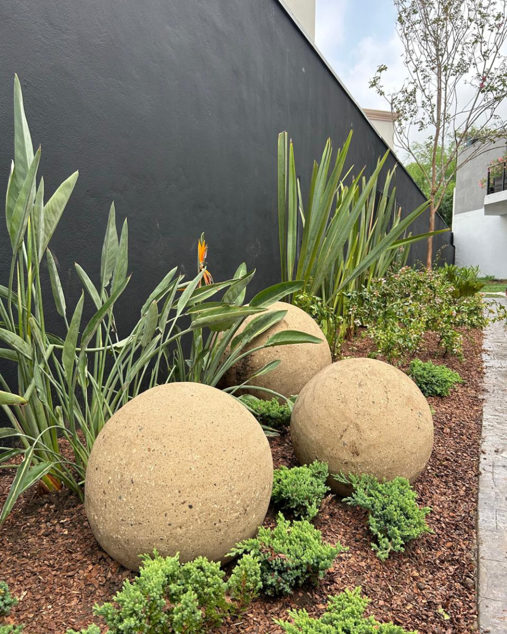Jardín moderno con esferas de piedra color tostado, plantas verdes y un muro negro a lo largo de un sendero.