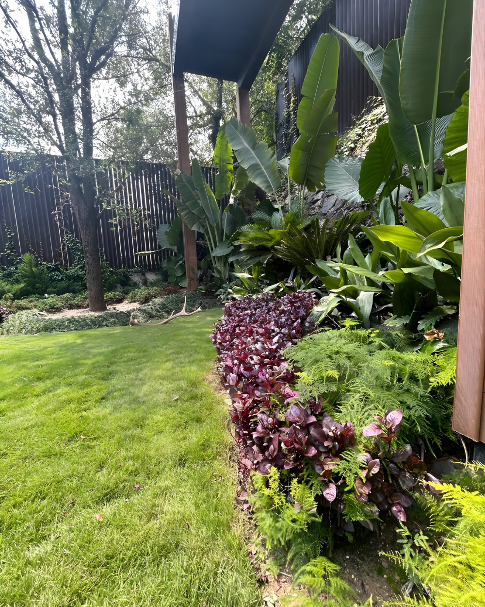 Jardín tropical exuberante con césped verde, flores moradas y altas plataneras junto a una valla.
