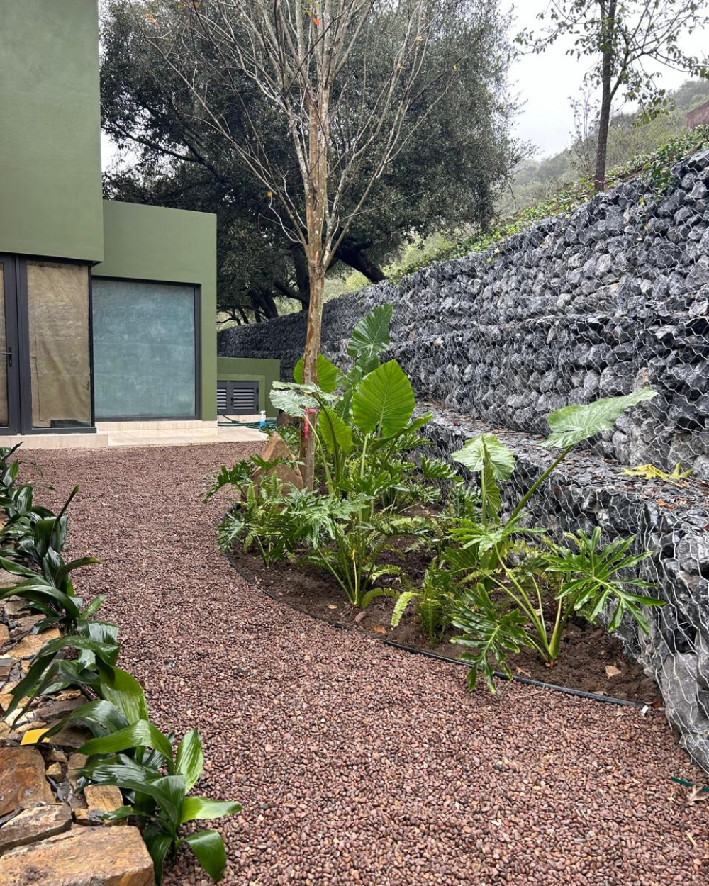 Sendero curvo de grava junto a un edificio verde y un muro de contención de piedra, bordeado de plantas y árboles tropicales.