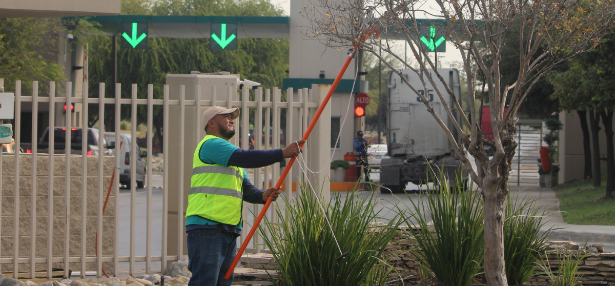 Servicios temporales para protección de áreas verdes