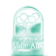 Logotipo para Viveros Valle Alto, que presenta un diseño de ventana arqueada y árboles estilizados en verde.
