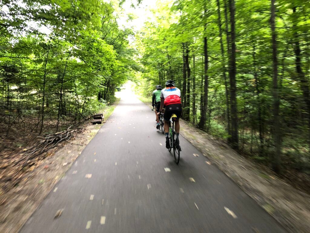A group of people are riding bicycles down a road in the woods.