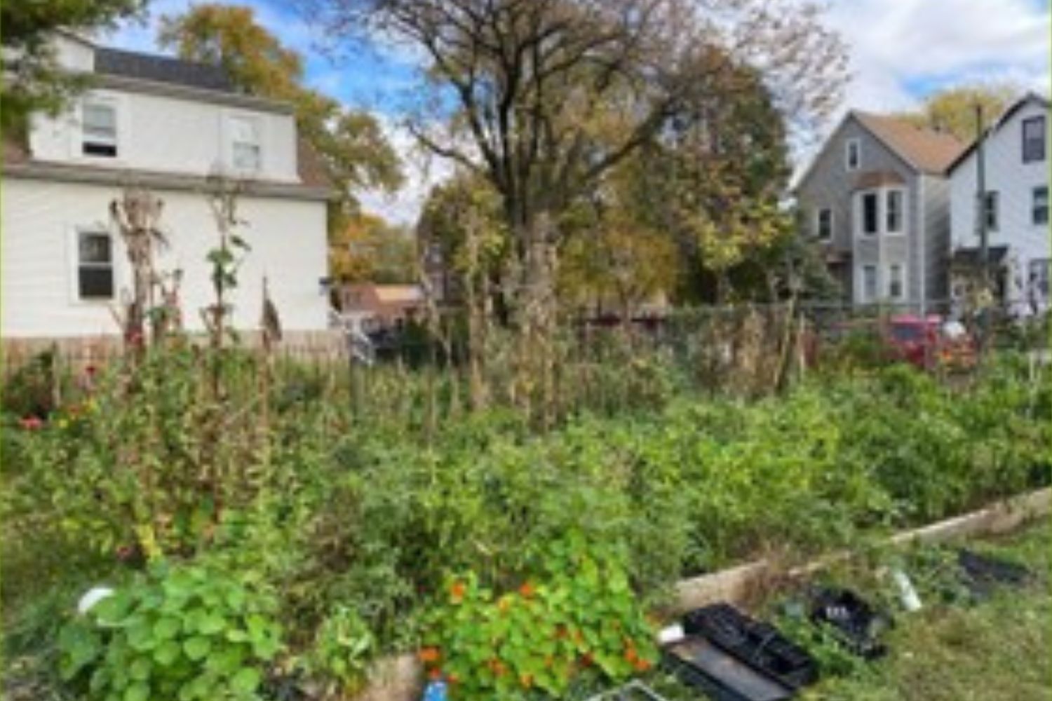 A garden with lots of plants and flowers in front of a house.