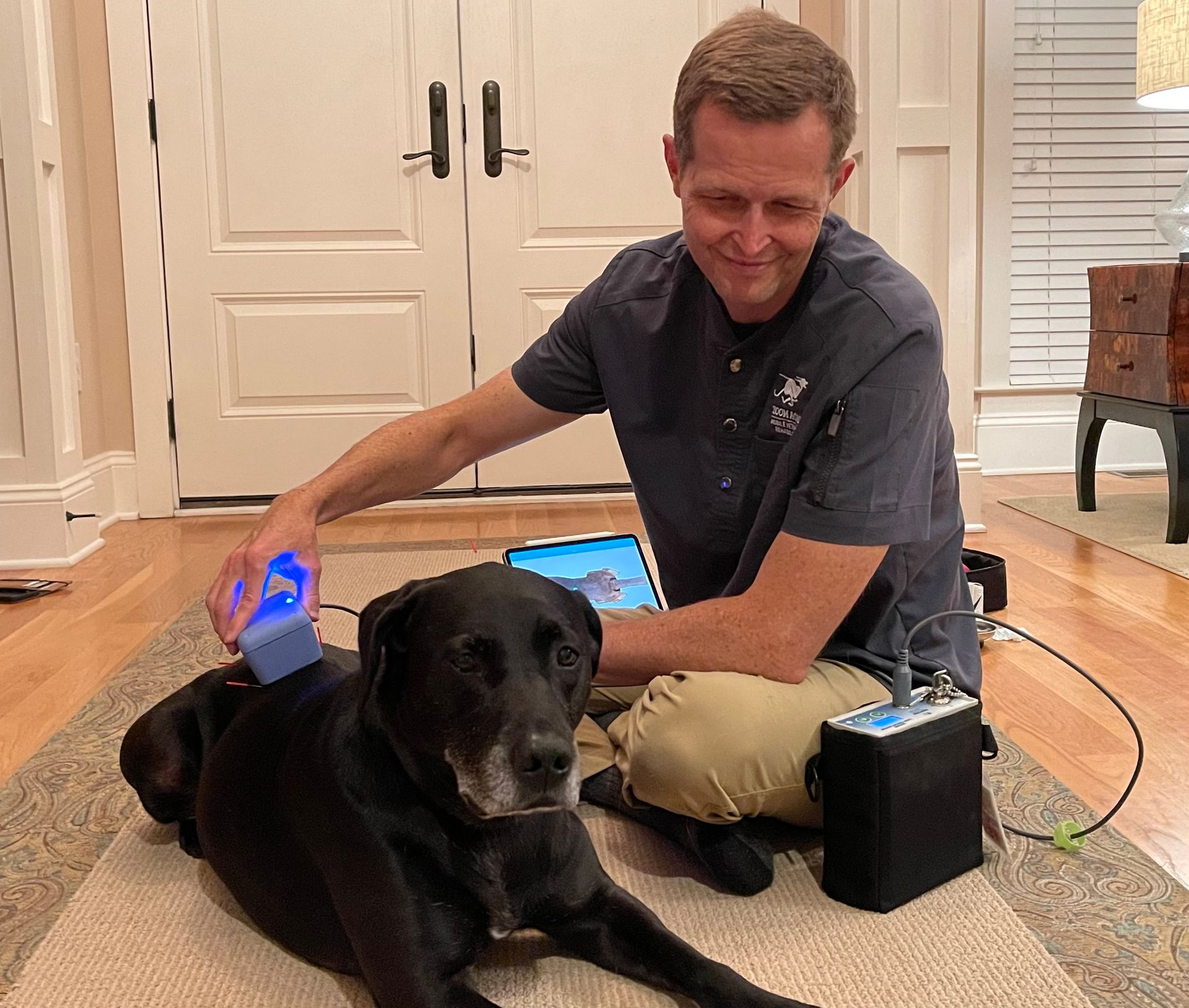 Black dog medium size laying down receiving laser therapy with vet holding rectangle laser wand