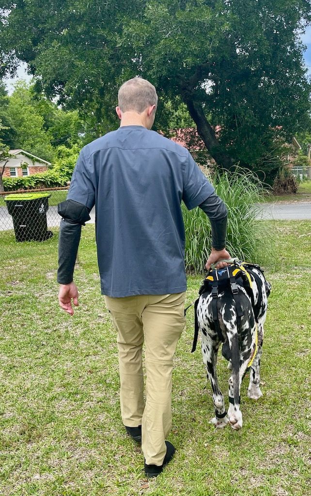 A man is walking a dog in a grassy field.