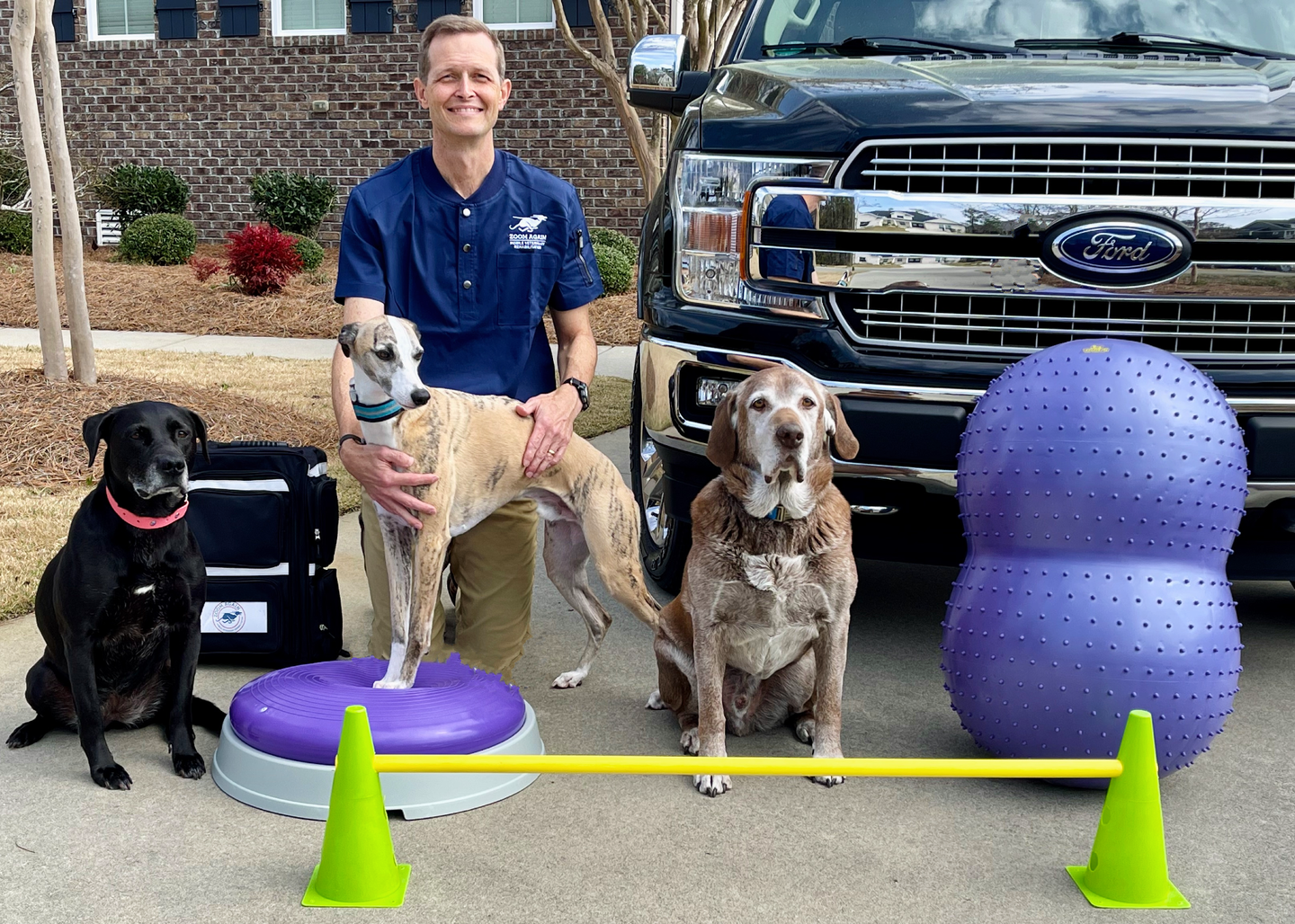 Male vet with 3 large dogs purple therapy balls, green cones and cavaletti pole