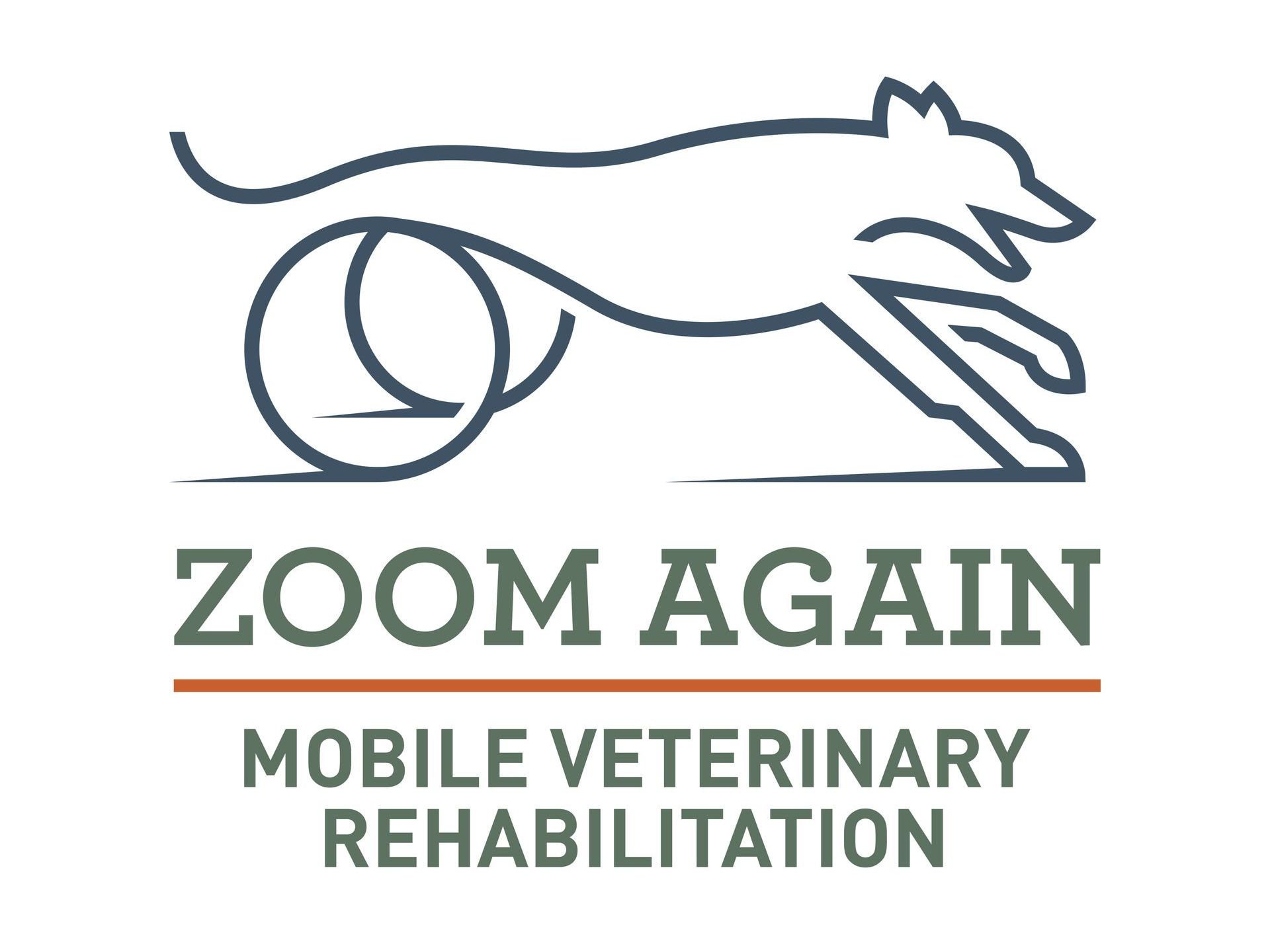 The logo for zoom again mobile veterinary rehabilitation shows a dog jumping over a ball.