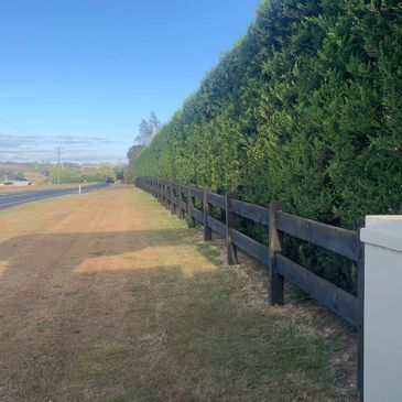 Tree Maintenance — Warragul, VIC — BSK Tree Services