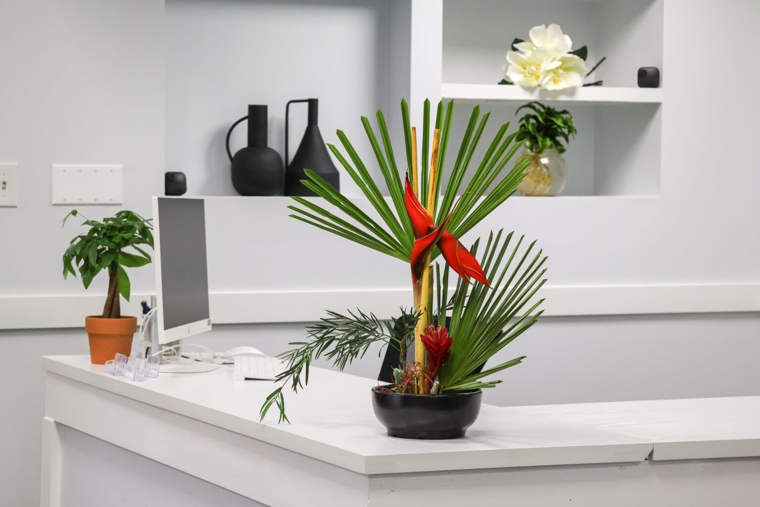 Office desk with potted plants and white shelves in a bright minimalist room