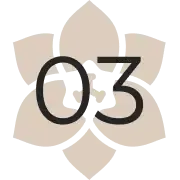Black 03 over a beige flower-like emblem on a white background