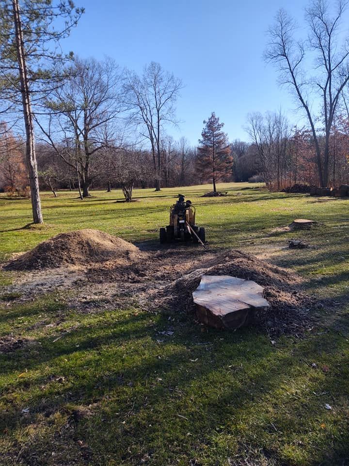 A tree stump grinder in a grassy yard, surrounded by wood chips and tree stumps. Clear, sunny day.