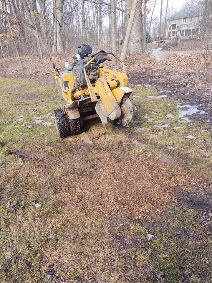 Yellow stump grinder on muddy ground, near trees and houses.