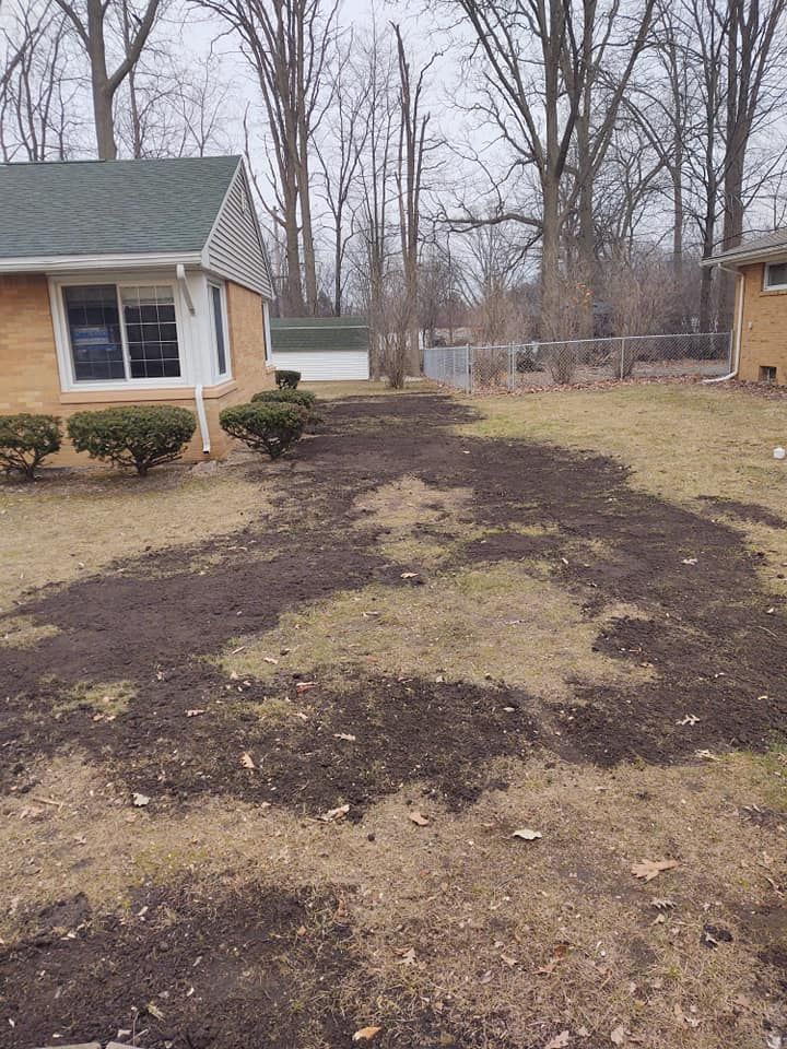 A residential yard with patches of bare soil, sparse grass, and small bushes in front of a brick house.