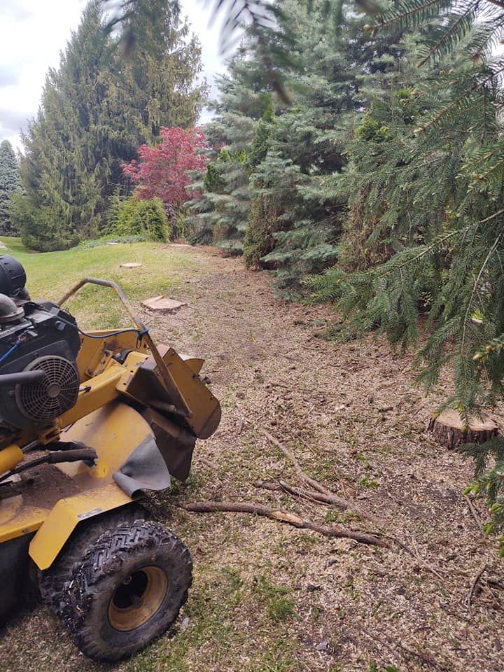 Yellow stump grinder grinding wood chips next to trees and grass.