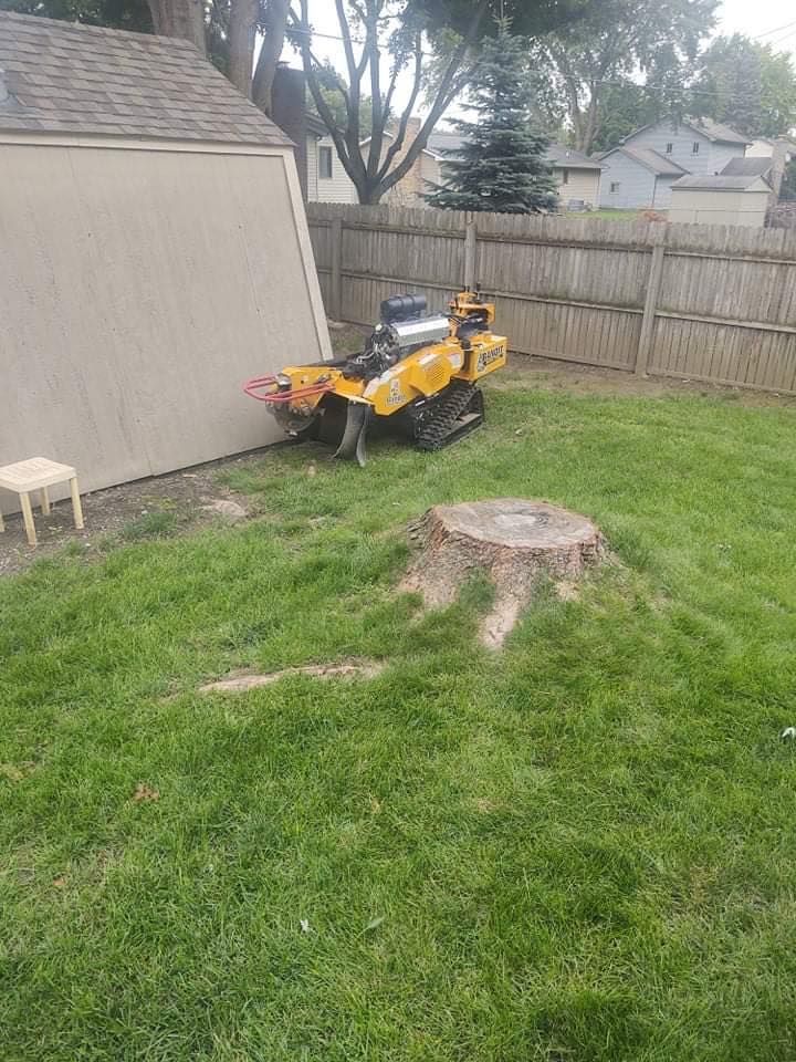 Stump grinder next to shed in backyard preparing to grind a tree stump.