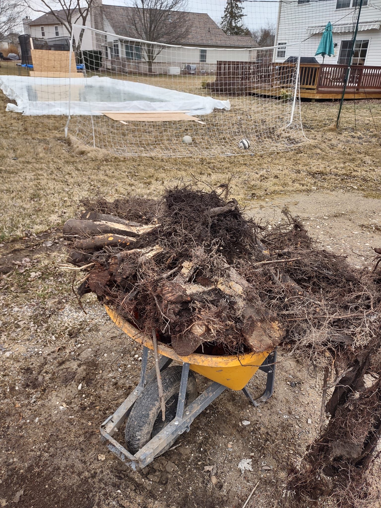 Stump of a cut tree in a grassy yard, with a small construction vehicle nearby under an overcast sky.