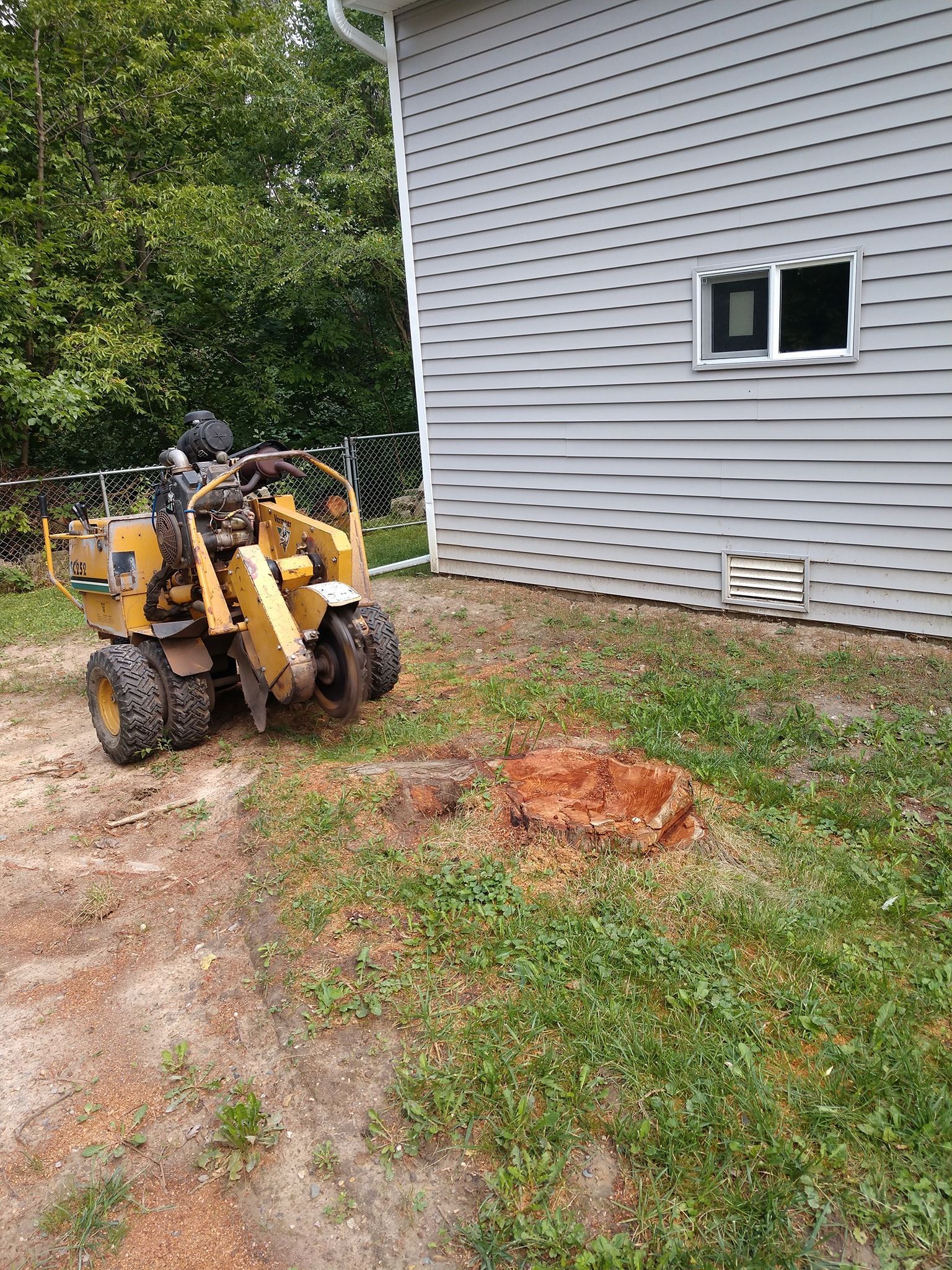 Stump grinder next to house; tree stump being ground down, wood chips on the ground.