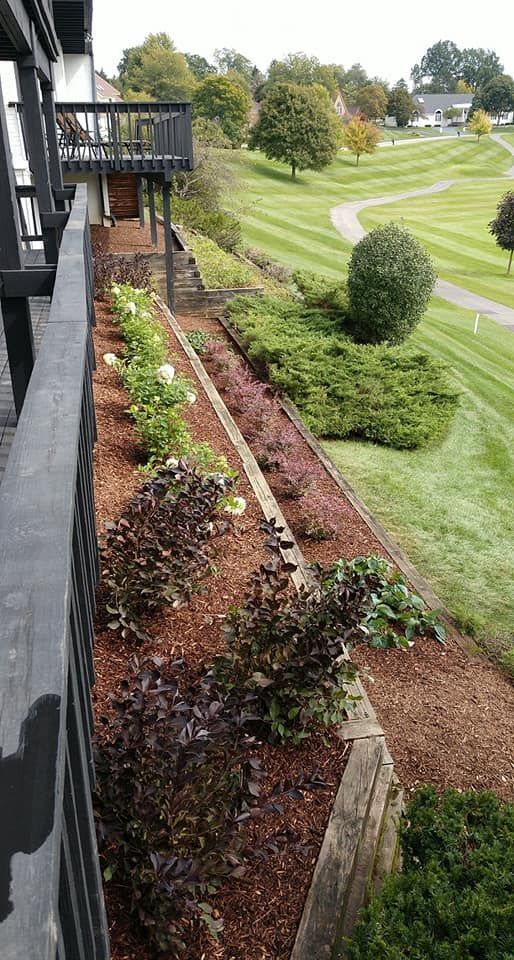A raised garden bed with brown mulch and various green and purple plants, next to a black deck overlooking a grassy hill.