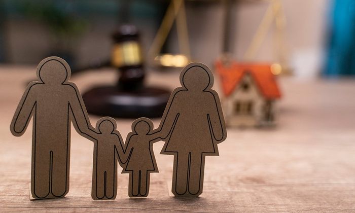 Family Figure — South Elgin, IL — Ted Gross Law LLC Family Figure — South Elgin, IL — Ted Gross Law LLC