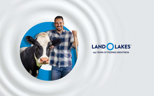 Land o Lakes, Empresa de negocios en la agroindustria