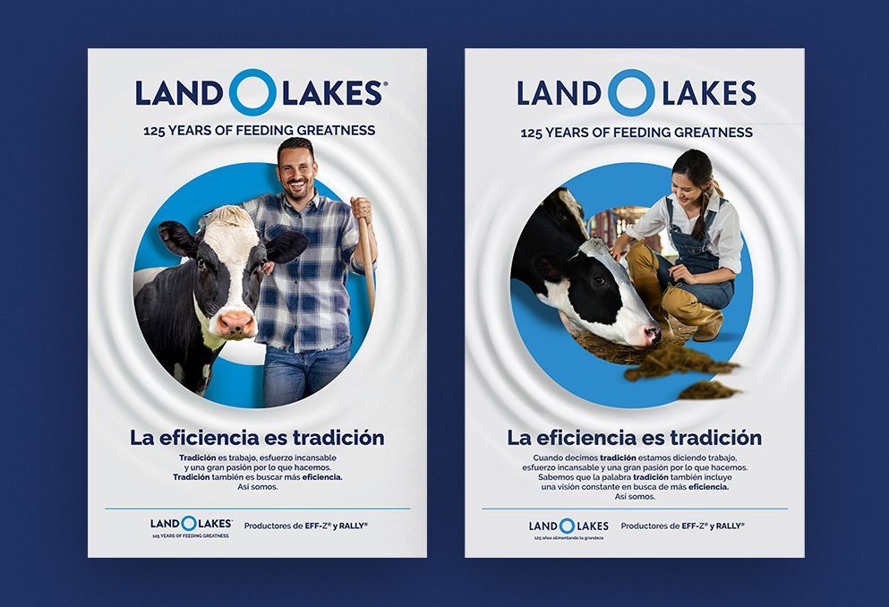 Land o Lakes, Empresa de negocios en la agroindustria