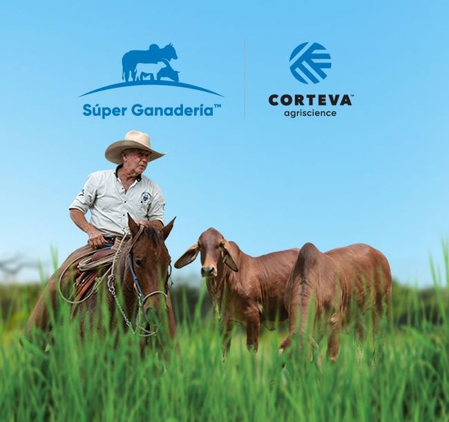 Land o Lakes, Empresa de negocios en la agroindustria