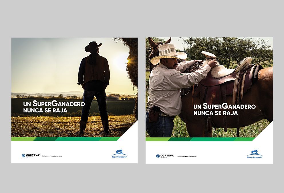 Super Ganadería, Empresa de negocios en la agroindustria