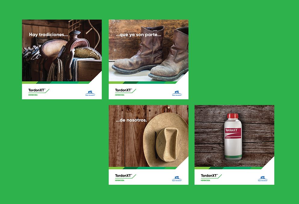 Super Ganadería, Empresa de negocios en la agroindustria