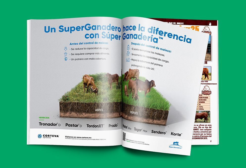 Super Ganadería, Empresa de negocios en la agroindustria