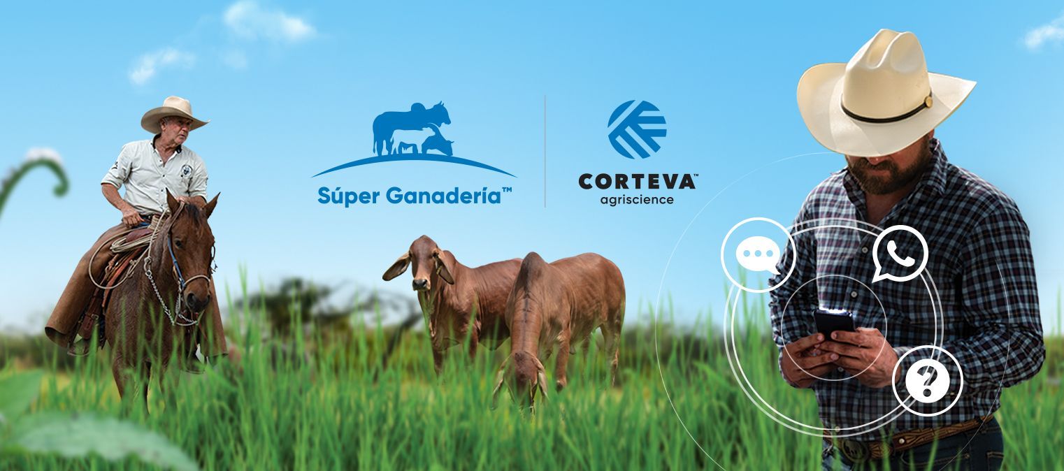 Super Ganadería, Empresa de negocios en la agroindustria