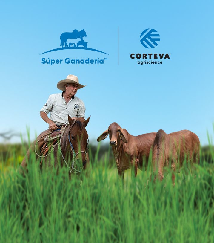 Land o Lakes, Empresa de negocios en la agroindustria