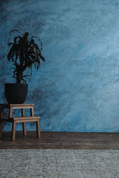 Accent Walls