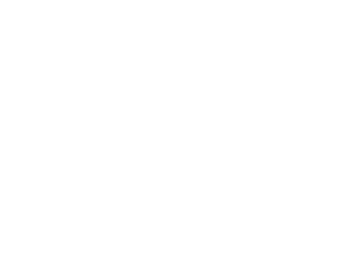 logo-image