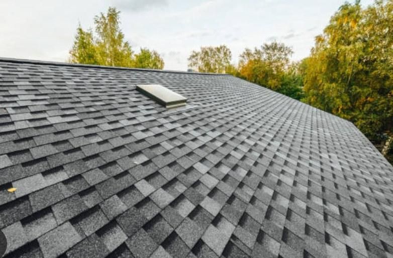 Gray asphalt shingle roof with a skylight, trees in the background.