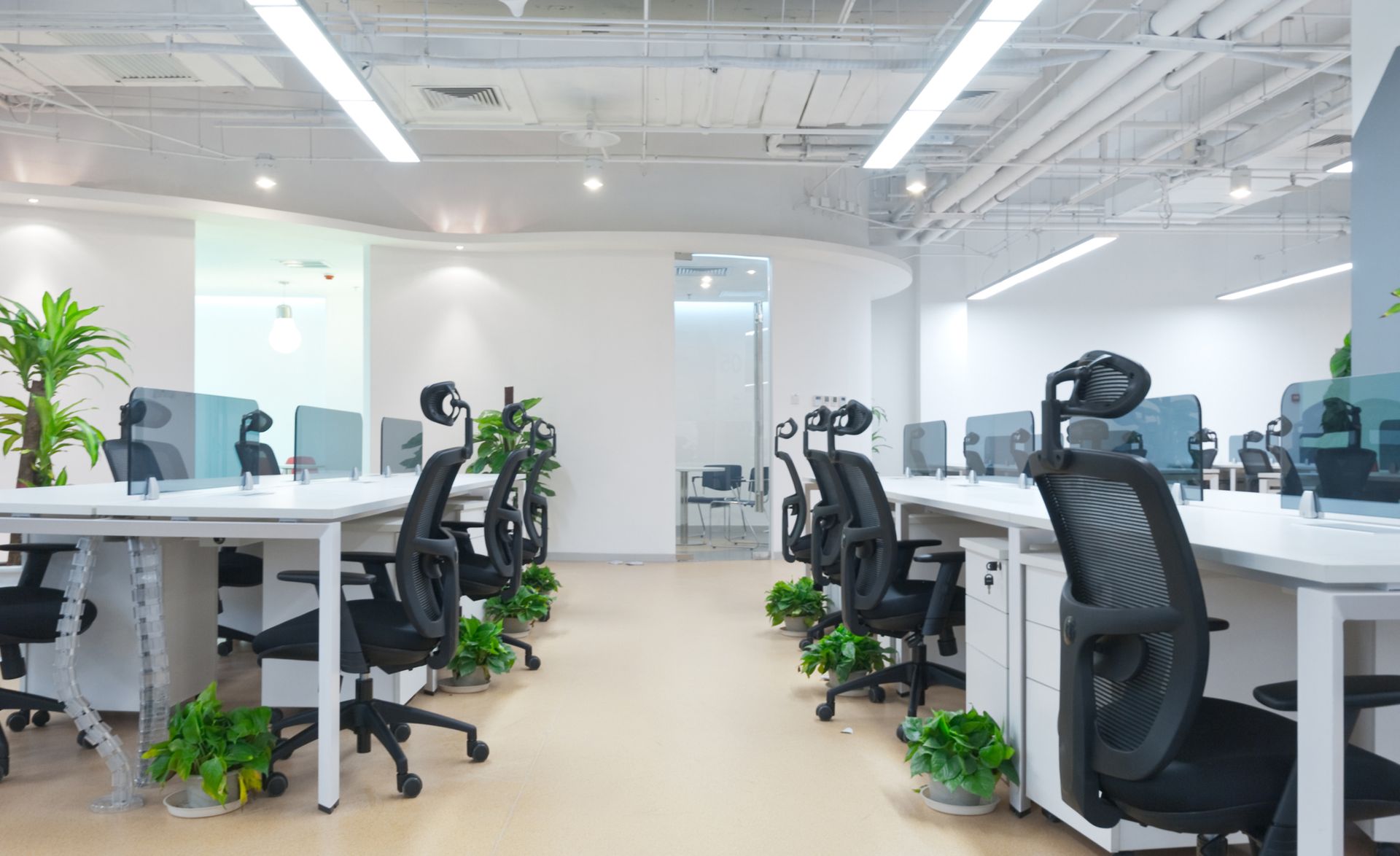 Modern office interior featuring natural daylight and sleek, functional design elements. Bright, modern office space with rows of white desks, black chairs, and potted plants.